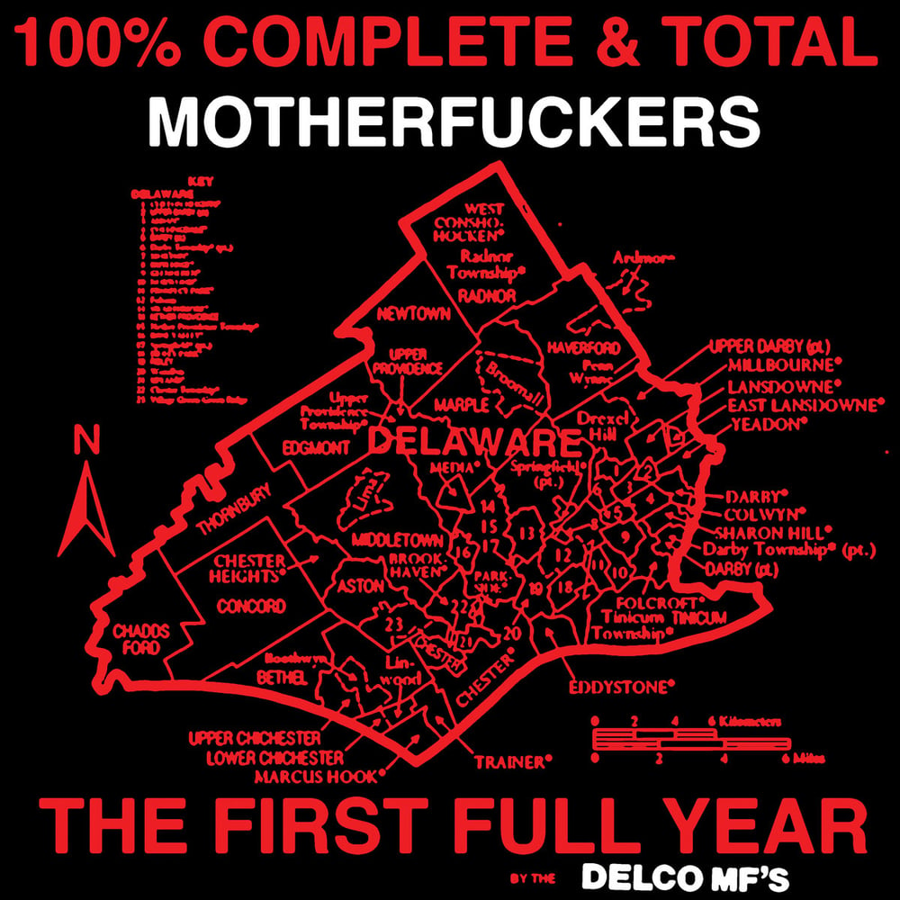 Image of DELCO MF's - 100% Complete & Total Motherfuckers LP