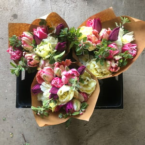 Image of Mixed Tulip Bouquets
