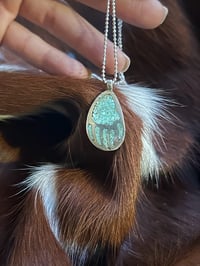 Bear Claw Inlay