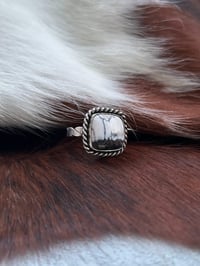 Square White Buffalo