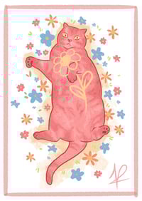 Potit chat