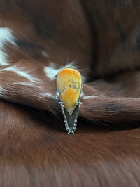 Image 2 of Bat Jaw Bumblebee Jasper