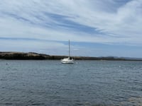 Image 4 of Tasmanian Yachts - Art On paper  SALE
