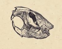 Image 1 of Beaver Skull Print 