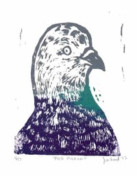 Image 2 of Pied Pigeon Print 3.5" x 5"