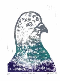 Image 3 of Pied Pigeon Print 3.5" x 5"