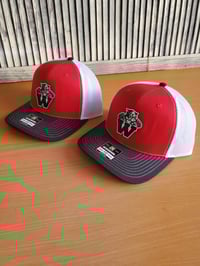Image 3 of School Hats
