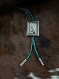 White Buffalo Frame