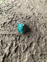 Square Snake Band