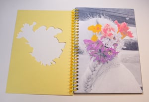 Image of Dandelions by Erin McCluskey