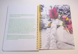 Image of Dandelions by Erin McCluskey