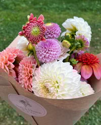 Image 1 of Dahlia Seasonal Bouquet