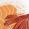 Pesce rosso