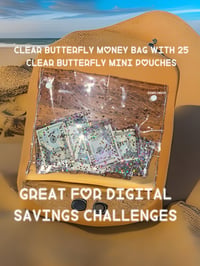 Clear butterfly money bag & mini pouches