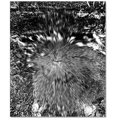 Image of Al Palmer - Arkive Yellow