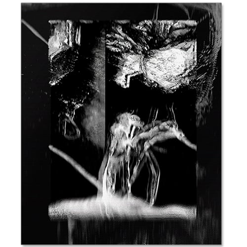 Image of Al Palmer - Arkive Yellow