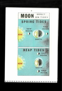 Image 2 of 2026 calendar