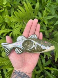 Image 1 of Red Eye Bass