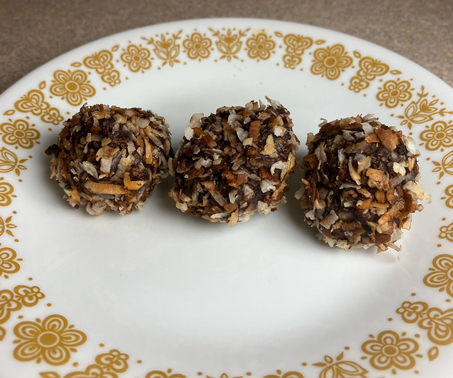 Toasted Coconut Truffles (DF)