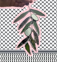 Image 3 of PIECES 4 PALESTINE