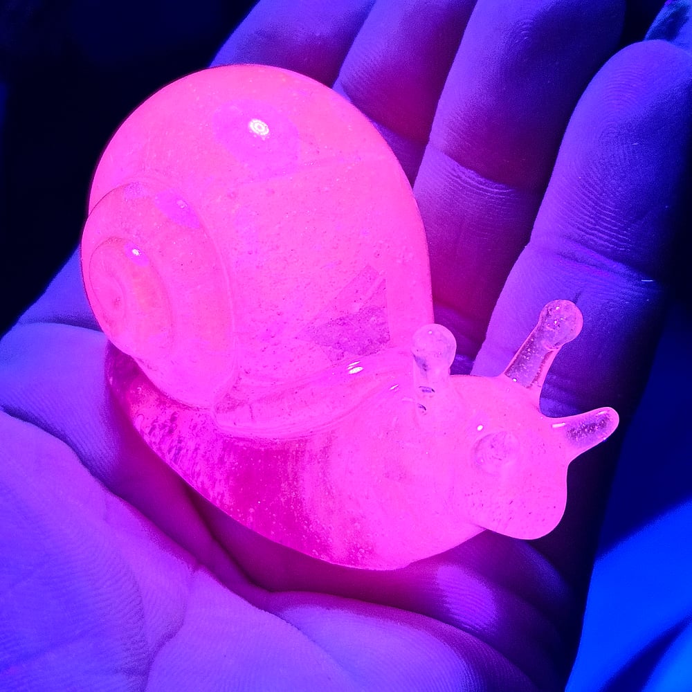 Image of Neon Pink Snail Buddy