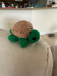 Image 4 of Tony the Tiny Turtle
