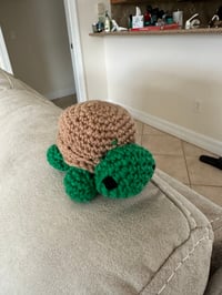 Image 5 of Tony the Tiny Turtle