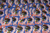 Image 1 of Pack of 25 7x7 Linfield Northern Ireland Football/Ultras Stickers.