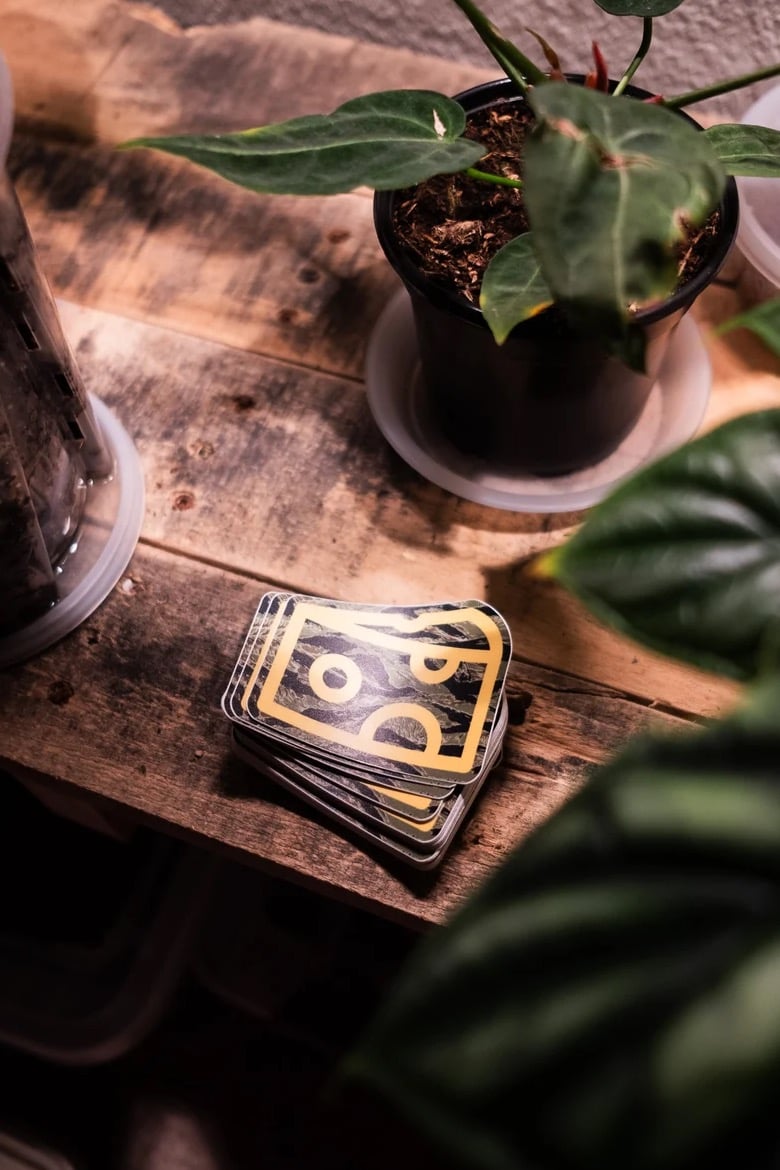 Image of Tiger Stripe Wedge