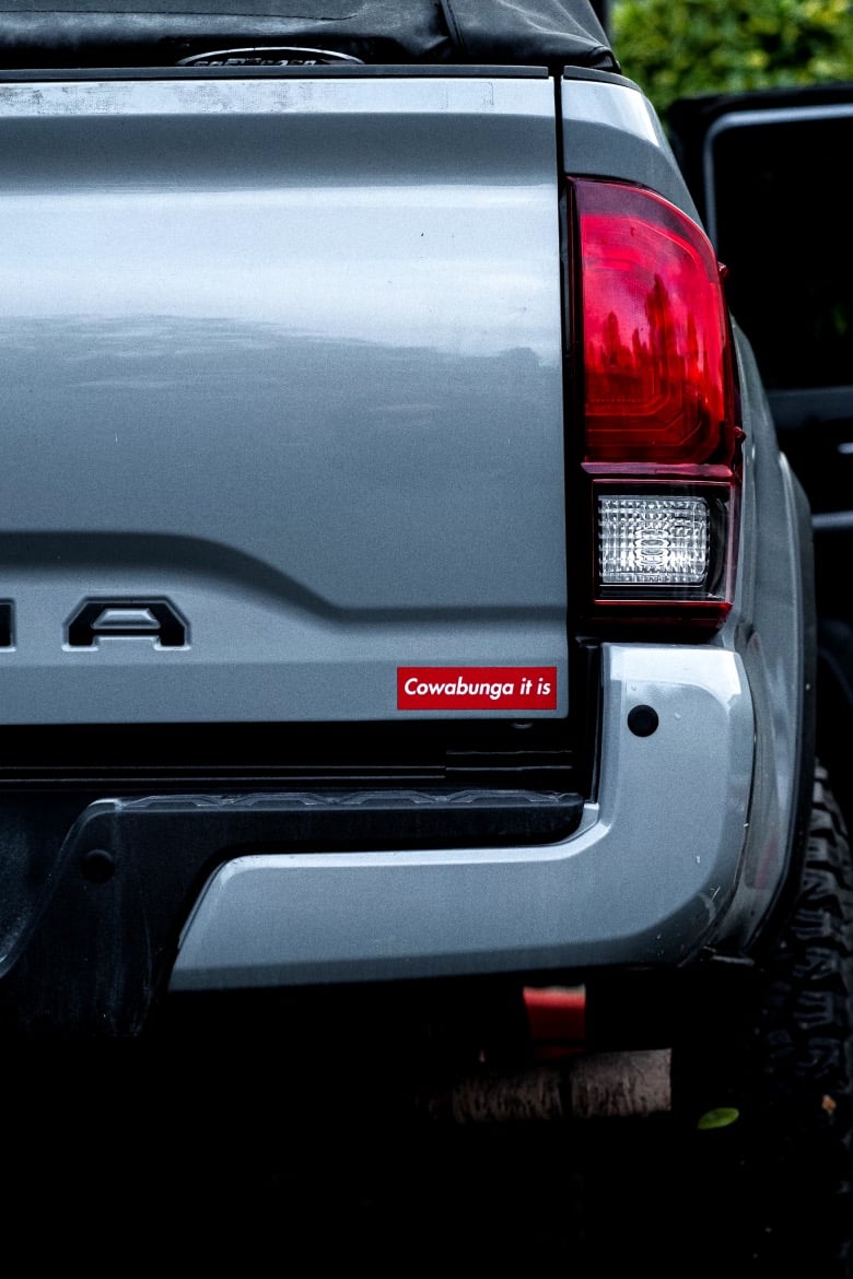 Image of Cowabunga it is