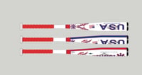 Image 2 of The Patriot
