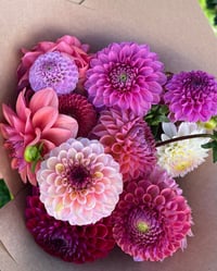 Image 2 of Dahlia Seasonal Bouquet