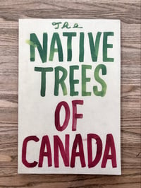 Image 1 of The Native Trees Of Canada by Leanne Shapton Drawn and Quarterly