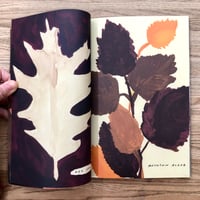 Image 3 of The Native Trees Of Canada by Leanne Shapton Drawn and Quarterly