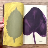 Image 4 of The Native Trees Of Canada by Leanne Shapton Drawn and Quarterly