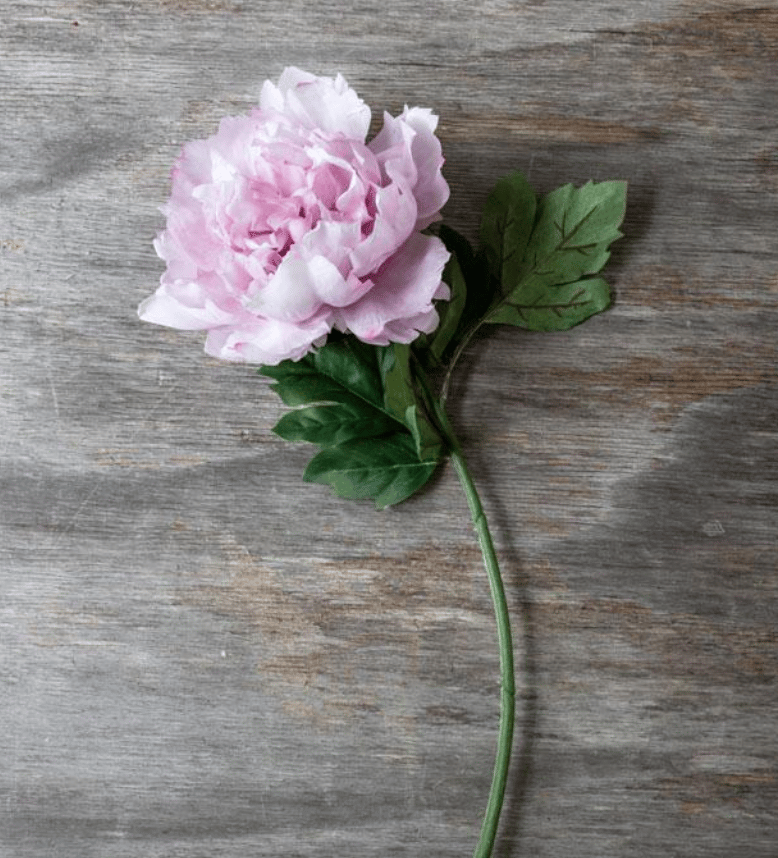 Image of Faux Flowers- Part 3- Anemones and Peonies