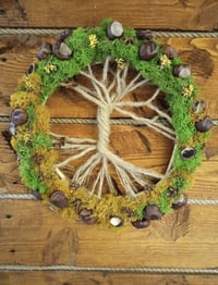 Image 1 of Interior elements: Suspended rope composition "Cycle of life"