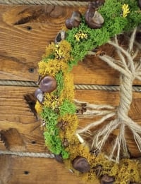 Image 2 of Interior elements: Suspended rope composition "Cycle of life"