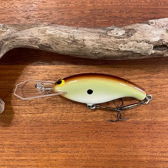 Vintage Moriyama Japan Crankbait Bass Fishing Lure Gold Foil Scale