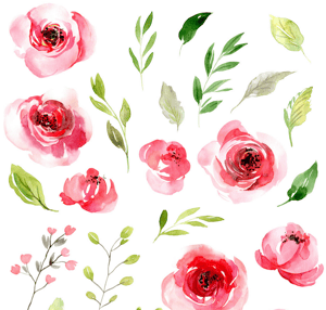 Image of The Symbolism of the Rose ~ Saturday July 6, 2 - 5pm