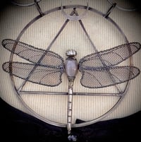 Image 2 of Wings of Transformation (coco)