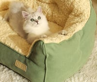 Image 4 of Pet Cat Sofa Modern Puppy Kitten Bed Couch Cushion Bedding Indoor Cats Dogs House