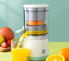Portable Juicer