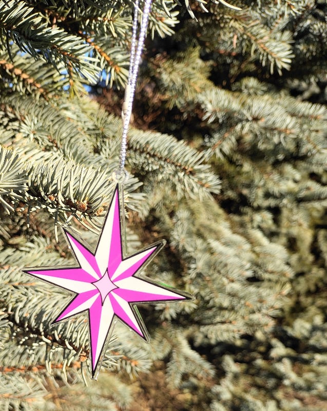 Image of Fictosexuality & Fictoromantic Color-Coded Christmas Star