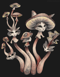 Mushroom Cats by Anton-Constantin (SIGNED PRINT)