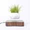 Image of Levitating Magnetic Bonsai Flower Pot Decor Aesthetic