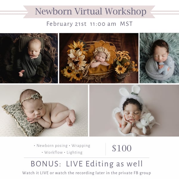 Image of Virtual NB Workshop ~ Watch and Learn February 21st 11am