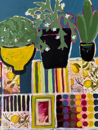 Image 4 of How many plants is too many plants?  SALE