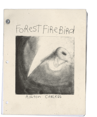 Image 2 of Forest Fire Bird