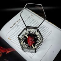 Image 2 of Mini Vampire HeartTrinket Box